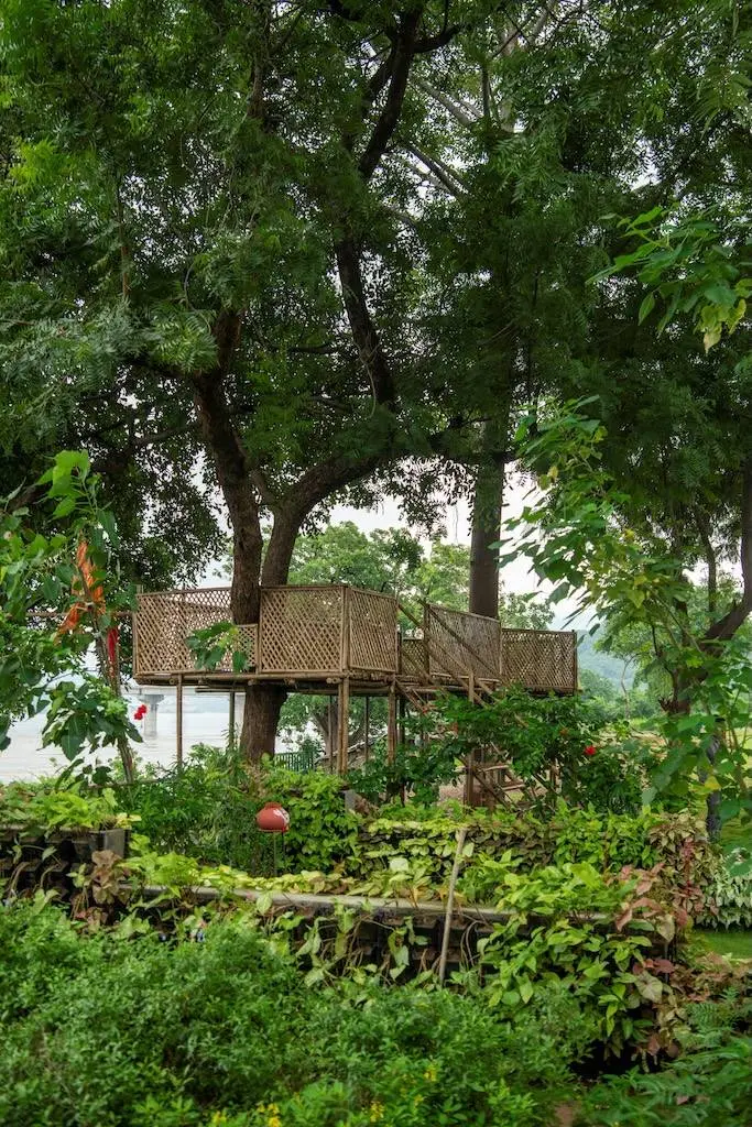 Ekta Nursery
