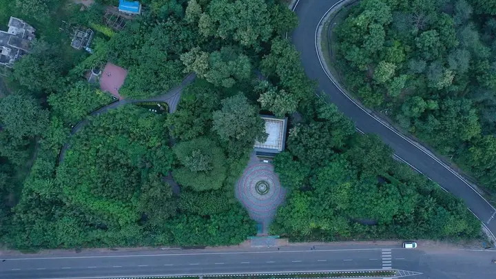 Miyawaki Forest